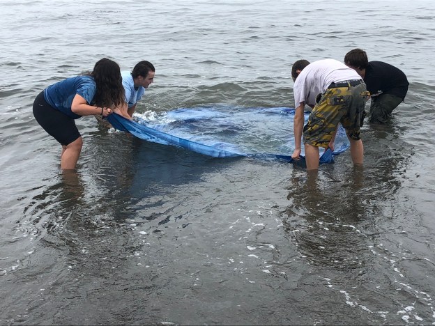 Beach_Mural_Development